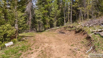 /international/us/sellers-creek-road-shelley-id-110107927375/