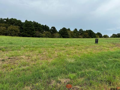 /international/us/16724-caeli-heights-court-lot-13-winona-tx-110120026827/