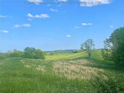 /international/us/rt-62-ripley-road-millwood-wv-110109336152/