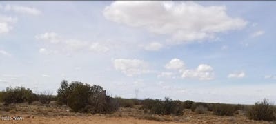 /international/us/282-chevelon-canyon-ranch-heber-az-110099932538/