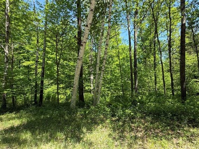 /international/us/wilderness-trail-green-bay-wi-110108349015/