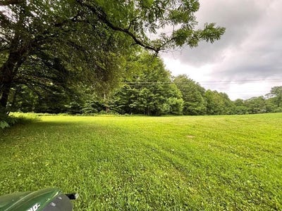 /international/us/772-leivasy-rd-nettie-wv-110099641301/