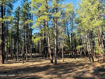 /international/us/2936-blue-lake-circle-pinetop-az-110091363677/