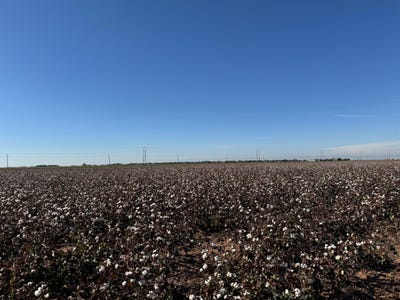/international/us/740-sun-road-plainview-tx-110120027020/