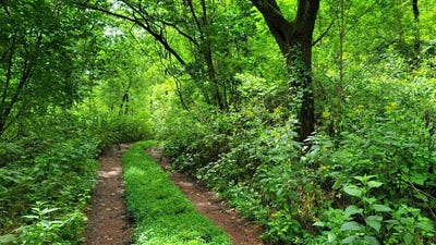 /international/us/4843-stanaford-rd-prince-wv-110085221874/