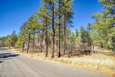 /international/us/1036-w-apache-lane-lakeside-az-110106787902/