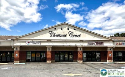 /international/us/4030-chestnut-street-emmaus-boro-pa-110101867119/
