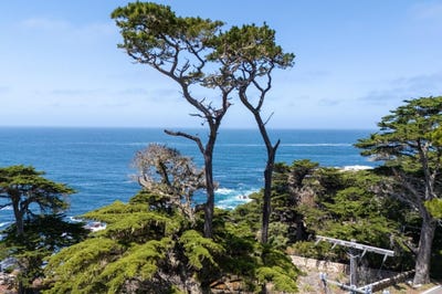 /international/us/3245-17-mile-dr-pebble-beach-ca-110108626282/