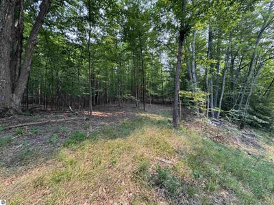 /international/us/lot-3-e-bellinger-road-cedar-mi-110101450268/?lang=zh-cn