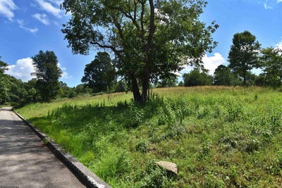/international/us/carlson-drive-lot-46-grafton-wv-110107637474/