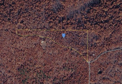 /international/us/100-county-road-349a-piedmont-mo-110107822328/