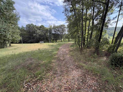 /international/us/131-booger-hollow-road-dover-ar-110120413184/