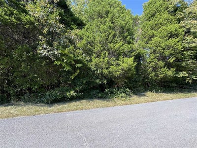 /international/us/tract-1-william-simmons-road-bowling-green-ky-110104781189/