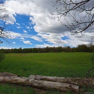/international/us/10755-nys-route-13-call-listing-agent-ny-110108678118/