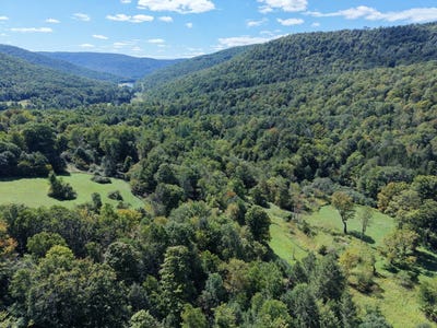 /international/us/finch-hollow-rd-walton-ny-ny-110109604245/