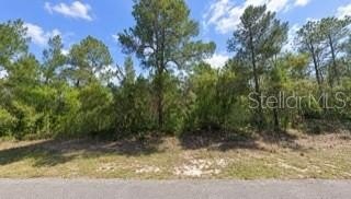 /international/us/5148-w-deputy-drive-beverly-hills-fl-110120511704/