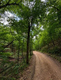 /international/us/oak-thicket-lane-galena-mo-110109195160/