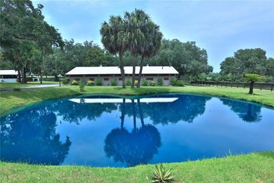 /international/us/13450-nw-gainesville-road-reddick-fl-110085877341/