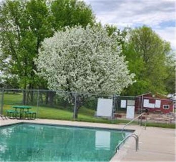 /international/us/2945-county-road-4-65-sw-cokato-mn-110105919069/