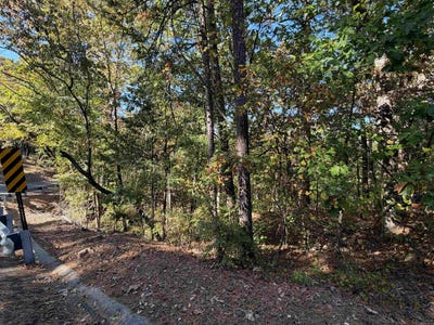 /international/us/lakeview-drive-conway-ar-110120767051/