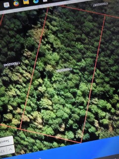 /international/us/clifford-way-ridgeville-sc-110108605340/