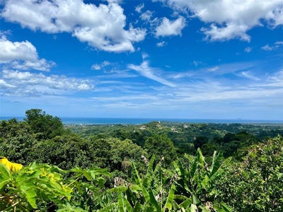 /international/us/pr-3351-bo-quemado-mayaguez-pr-110100744036/?lang=es