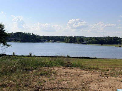 /international/us/9200-meeting-street-lot-30-pell-city-al-110107952363/