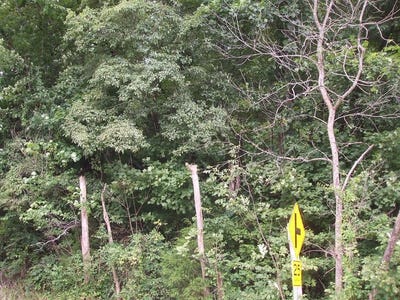 /international/us/0-db-702-dp-418-ky-rt-550-hueysville-ky-110101347939/?lang=zh-tw
