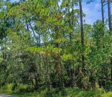 /international/us/158-orleans-drive-dauphin-island-al-110102324397/