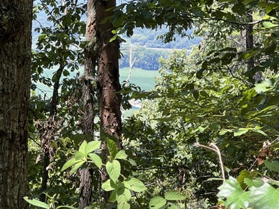 /international/us/0-county-road-1944-collinsville-al-110093995507/?lang=zh-tw