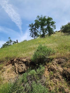 /international/us/baywood-lane-yokuts-valley-ca-110106351194/
