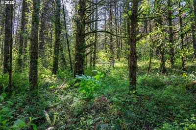 /international/us/sw-mountainside-dr-cornelius-or-110108227271/