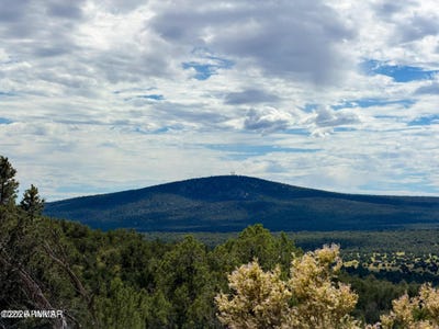 /international/us/w-elkhorn-pass-36-acres-seligman-az-110120456972/
