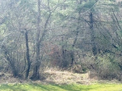 /international/us/martin-rd-lot-2-max-meadows-va-110106493686/