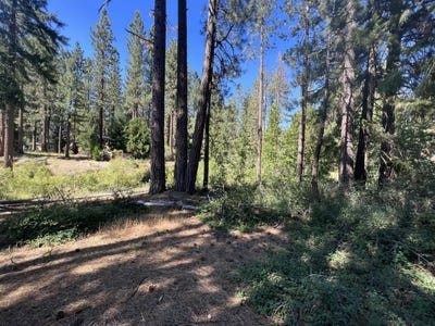 /international/us/392-sequoia-circle-lot-121-blairsden-ca-110085958081/