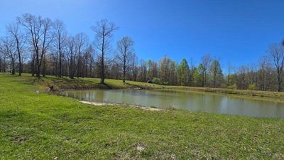 /international/us/217-a-day-dream-drive-dunlap-tn-110098819460/