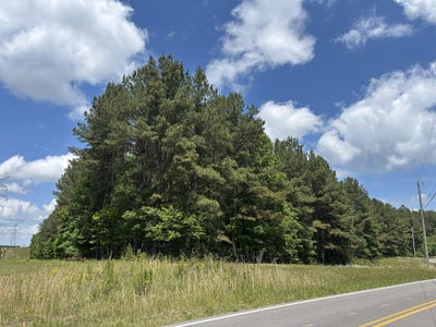 /international/us/s-pittsburg-mountain-road-south-pittsburg-tn-110119539900/