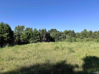 /international/us/33-acres-county-road-1101-vinemont-al-110090845910/?lang=zh-tw