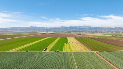 /international/us/48453-lonoak-road-king-city-ca-110101873153/