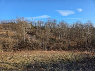 /international/us/energy-road-ewing-ky-110105000975/