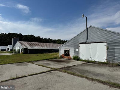 /international/us/5703-neal-parker-road-withams-va-110100204262/