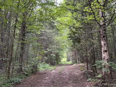 /international/us/tbd-rova-120-acres-atlantic-mine-mi-110101052593/?lang=zh-tw