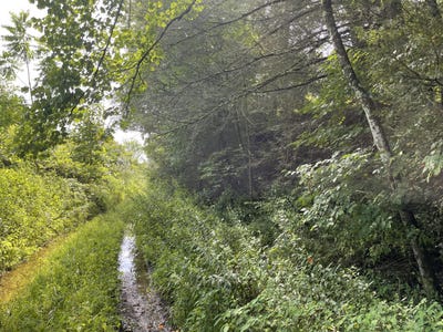 /international/us/212-granite-ln-fairdale-wv-110101987120/