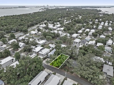 /international/us/armadillo-avenue-orange-beach-al-110107929026/