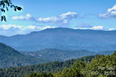 /international/us/arrowhead-ridge-road-spruce-pine-nc-110108781190/