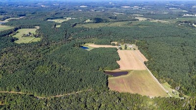/international/us/743-nelson-church-road-nelson-va-110102223246/