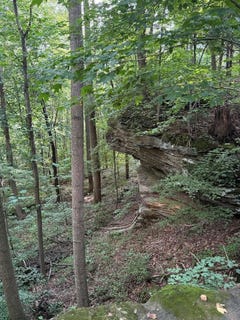 /international/us/coal-bank-road-sharon-grove-ky-110104160903/
