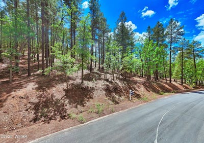 /international/us/6319-bent-oak-drive-pinetop-az-110098037624/