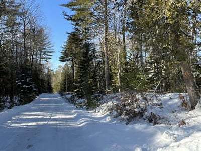 /international/us/toddy-drive-lot-21-10-penobscot-me-110104541539/