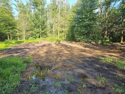 /international/us/5368-herrick-road-gerry-ny-110100264261/